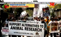 STOP ANIMAL CRUELTY
Torturing Animals in Research: Scientifically Invalid, Morally Repugnant