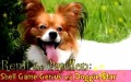 Remi the Papillon: Shell Game Genius and Doggie Star - P1/2  (In Korean)