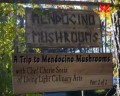 A Trip to Mendocino Mushrooms with Chef Cherie Soria of Living Light Culinary Arts - P1/2